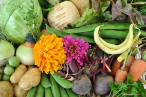 Organic Veg Boxes & Deliveries