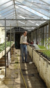 watering seeds